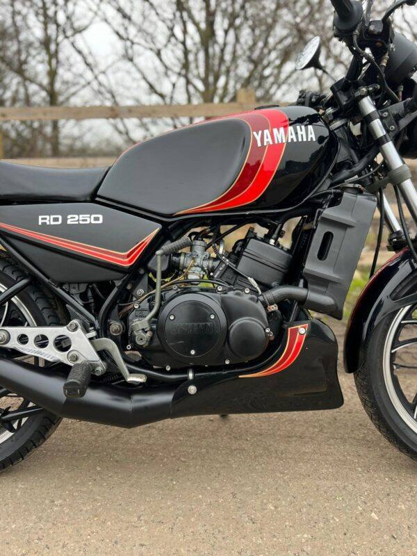 WIN THIS 1980 Yamaha RD250LC - Image 6