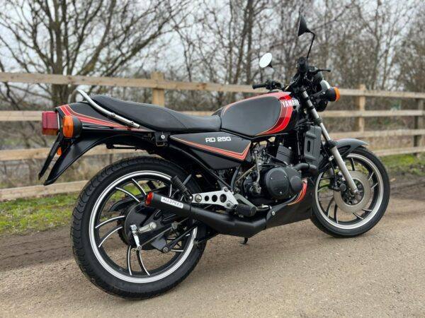 WIN THIS 1980 Yamaha RD250LC - Image 3