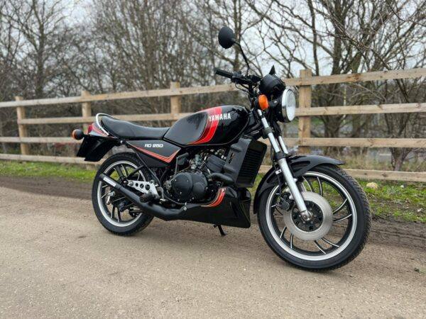 WIN THIS 1980 Yamaha RD250LC - Image 2