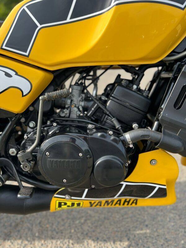 WIN THIS 1981 Yamaha RD250LC - Image 3
