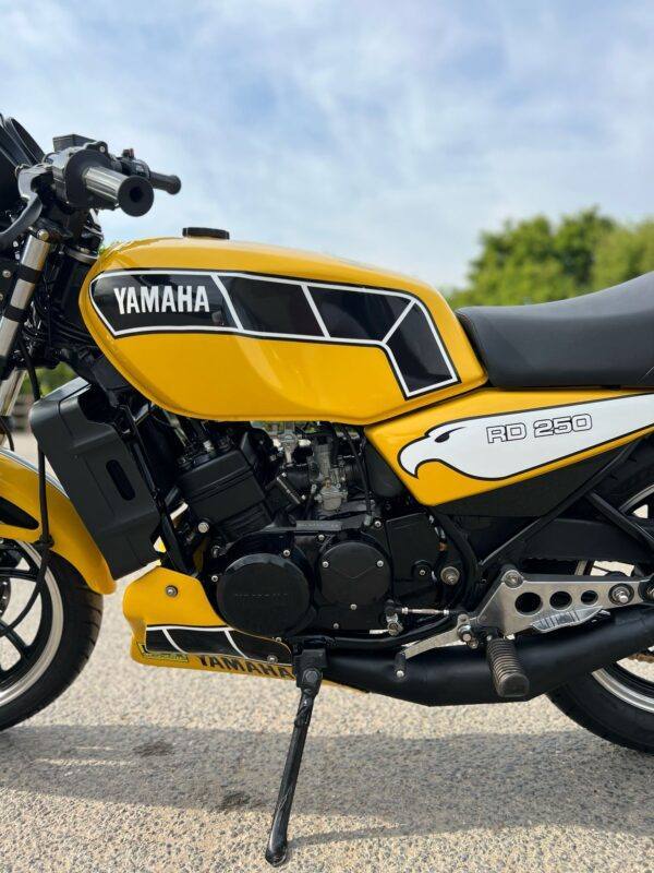 WIN THIS 1981 Yamaha RD250LC - Image 6