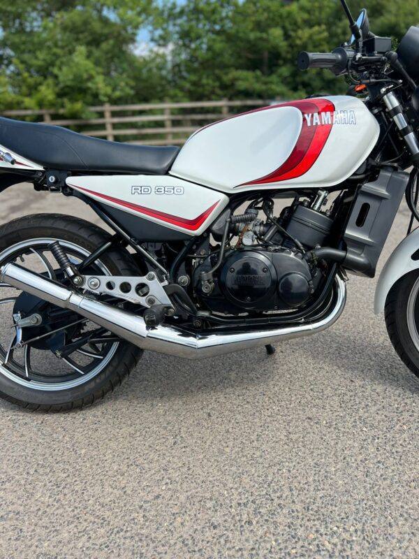 WIN THIS - 1983 Yamaha RD350LC - Image 9