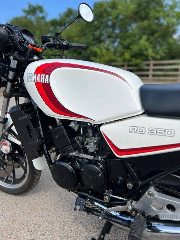 WIN THIS - 1983 Yamaha RD350LC - Image 5