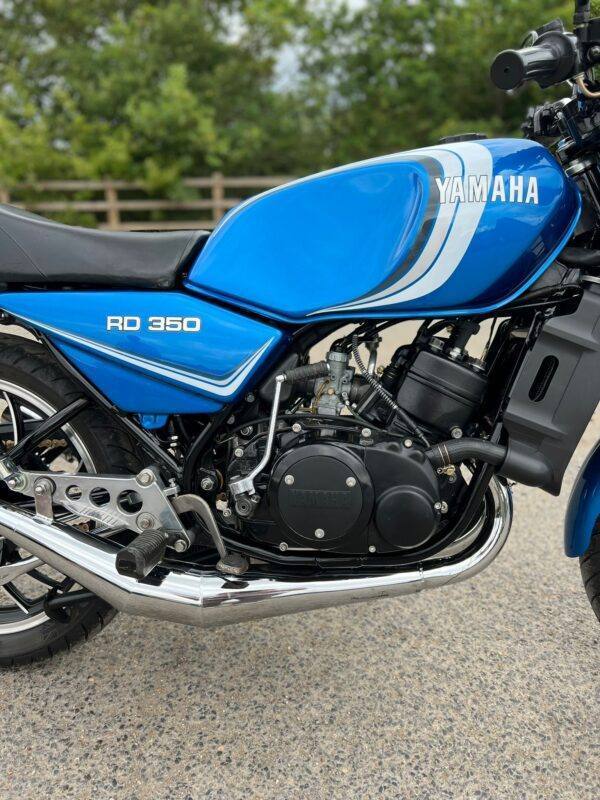 WIN THIS - 1982 Yamaha RD350LC - Image 12