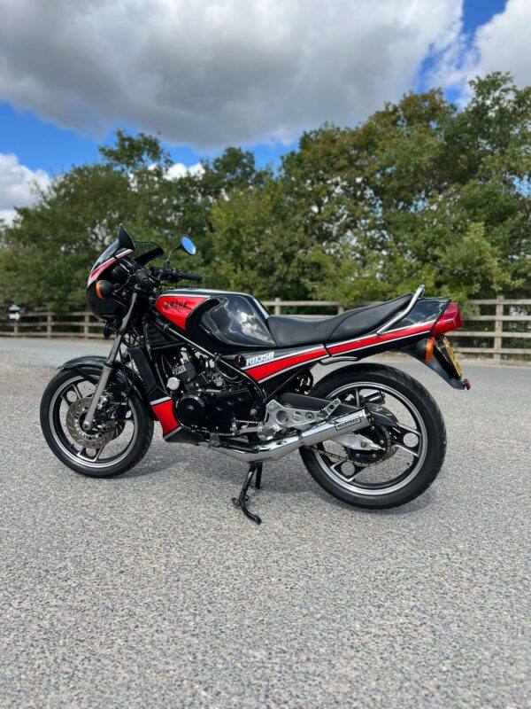 WIN THIS - 1985 Yamaha RD350 YPVS - Image 3